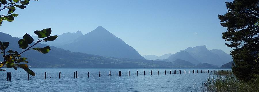 Thunersee Thunersee